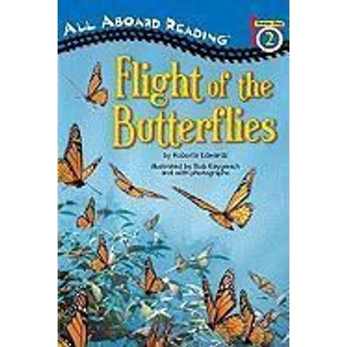 Flight Of The Butterflies
