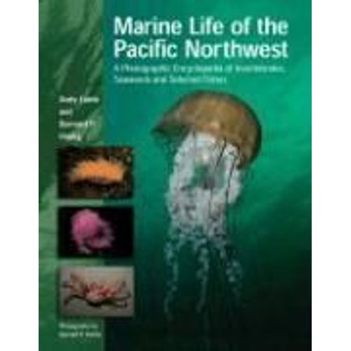 Marine Life Of The Pacific Northwest