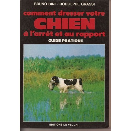 Comment Dresser Votre Chien À L'arrêt Et Au Rapport