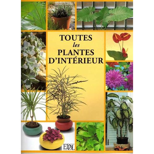 Toutes Les Plantes D'intérieur
