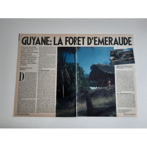 Article De Presse - Guyane La Forêt D'emeraude