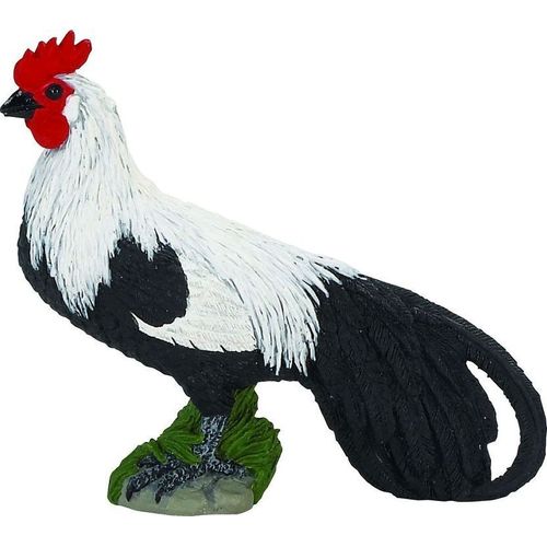 Coq