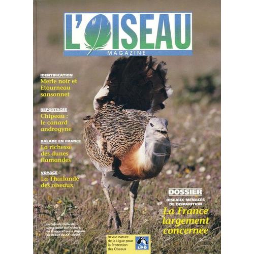 L'oiseau Magazine  N° 64 : Dossier:Oiseaux Menacés De Disparition