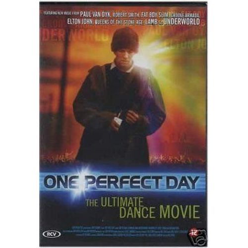 One Perfect Day