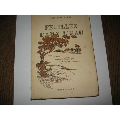 Feuilles Dans L'eau