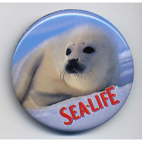 Badge Sea-Life Avec Bébé Phoque
