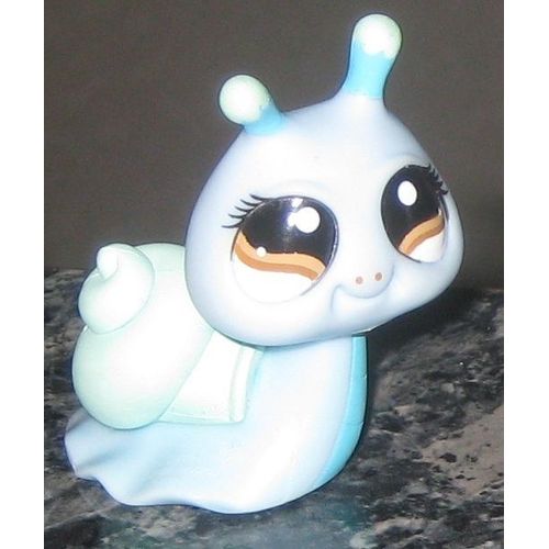 Petshop Escargot Bleu Pet