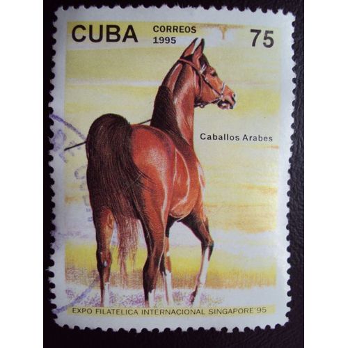 Cuba...Série Les Chevaux Expo Singapour 95 : Le Pur-Sang Arabe. Oblitéré