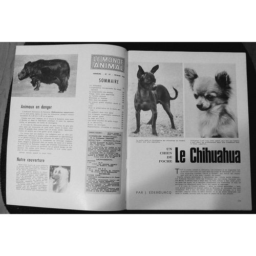 Le Monde Animal  N° 21