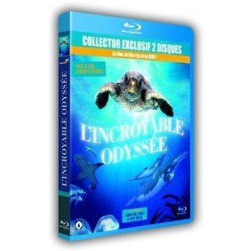 L'incroyable Odyssée - Combo Blu-Ray + Dvd