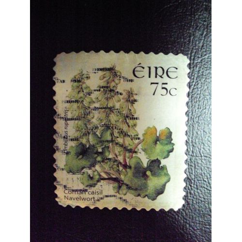 Irlande...75c Eire..Umbilicus Rupestris.(Ombilic Des Rochers). Oblitéré