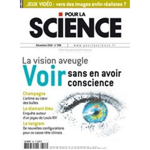 Pour La Science  N° 398 : La Vision Aveugle : Voir Sans En Avoir Conscience