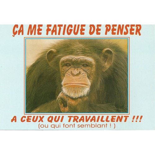Humour Singe Ca Me Fatigue De Penser A Ceux Qui Travaillent Ou Qui Font Semblant Rakuten