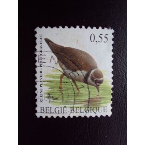 Belgique..België..0.55 Série Oiseaux. Kleine Plevier - Petit Gravelot. Oblitéré.