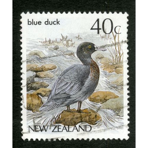 Timbre Oblitéré New Zealand, Blue Duck, 40 C