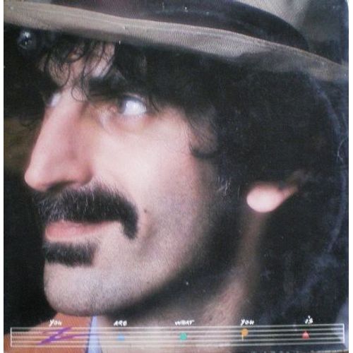 2 Lp « You Are What You Is/81 »