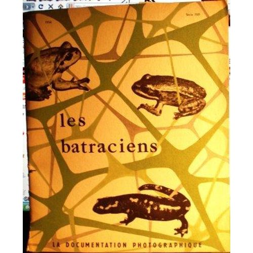 La Documentation Photographique  N° 160 : Les Batraciens