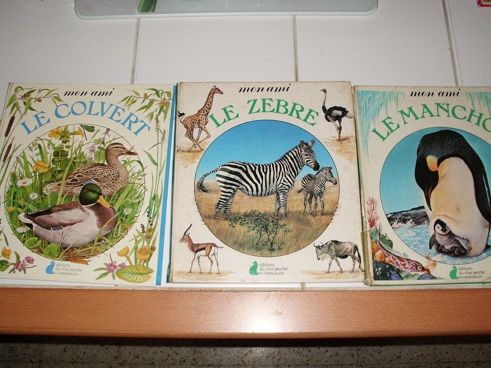 Mon Ami Le Zebre Editions Du Chat Perche Rakuten