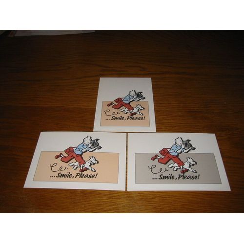 Tintin Et Milou - Lot De 3 Cartes Postales Smile, Please !