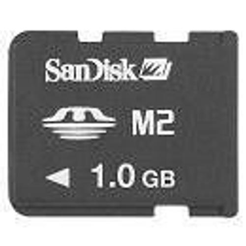 SanDisk Memory Stick Micro (M2) 1 Go