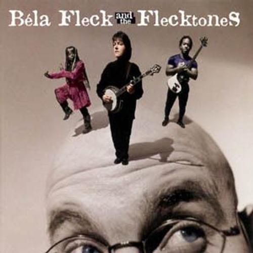 Bela Fleck & The Flecktones