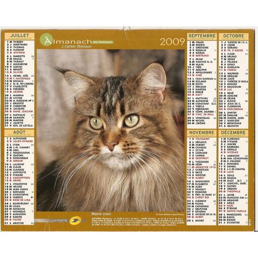 Almanach Du Facteur Cartier Bresson 09 Chat Maine Coon Et Chat Persan Chinchilla Rakuten