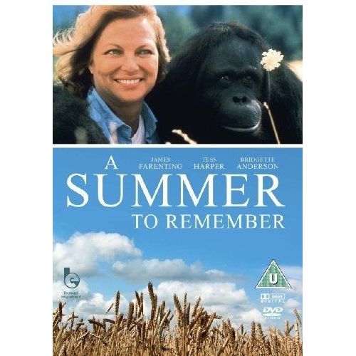 A Summer To Remember [Import Anglais] (Import)