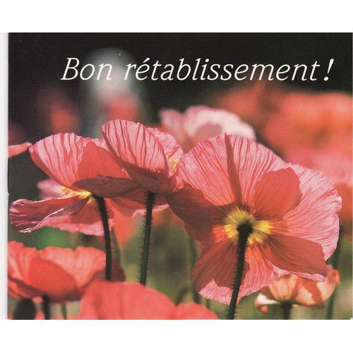 Bon Retablissement Litterature Rakuten