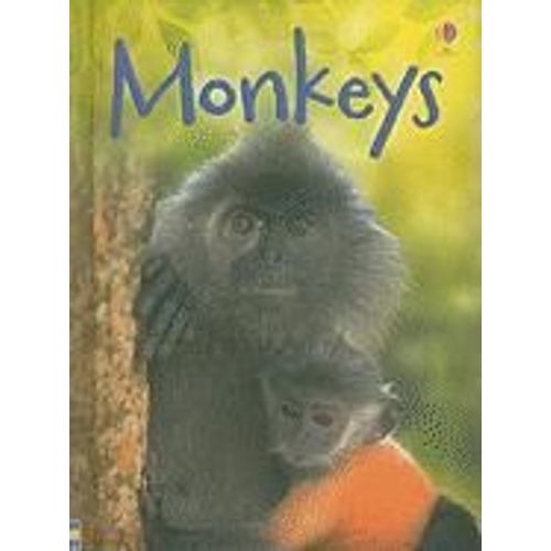 Monkeys