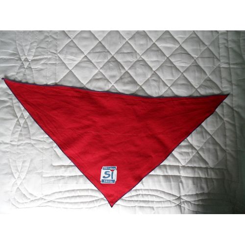 Foulard Féria Pernod