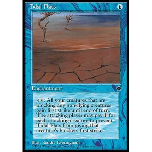 Tidal Flats Ill.3 - Magic Mtg - Fallen Empires 0 - C