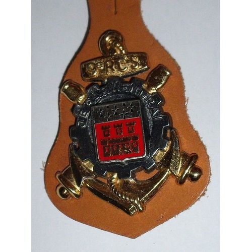 Insigne 9° Régiment De Commandement Et De Soutien