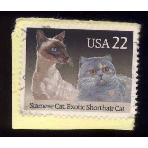Timbre U S A, Siamese Cat, Exotic Shorthair Cat, 22 Cents, Oblitéré