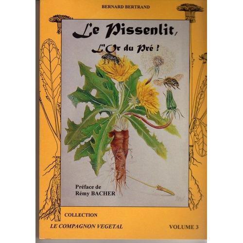 Le Pissenlit, L'or Du Pré !