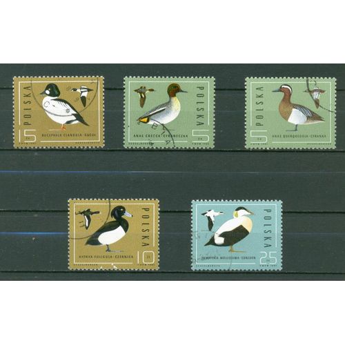 Pologne - Canards - 1985.