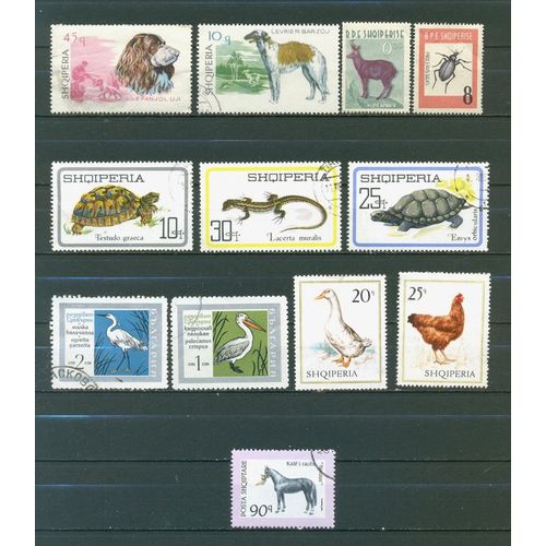 Albanie - Animaux.