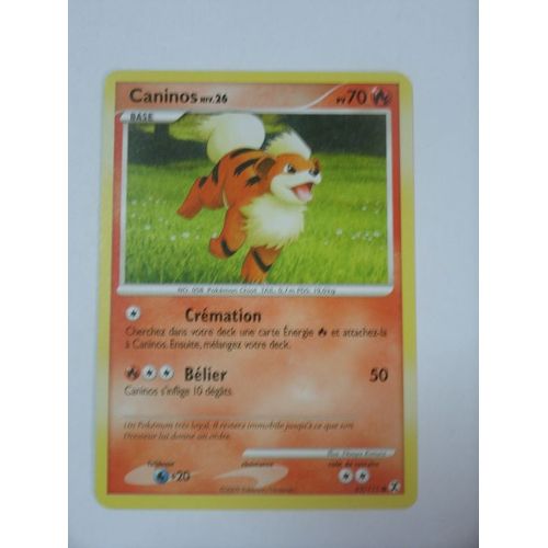 Pokemon - Caninos Niv26