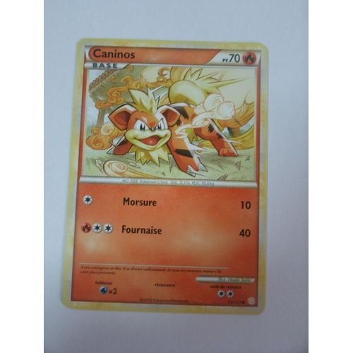 Pokemon - Caninos