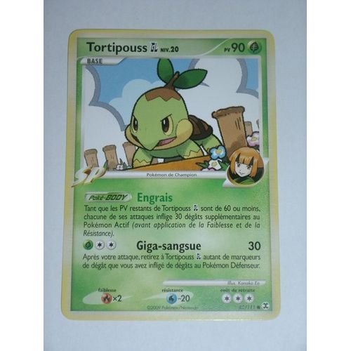 Pokemon - Tortipouss Niv20, Pokemon De Champion