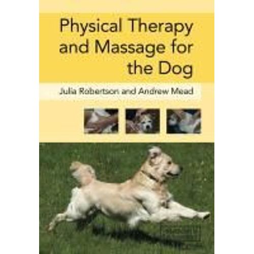 Physical Therapy And Massage For The Dog