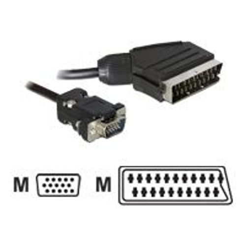 Delock - Câble vidéo - VGA - HD-15 (VGA) mâle pour SCART mâle - 2 m