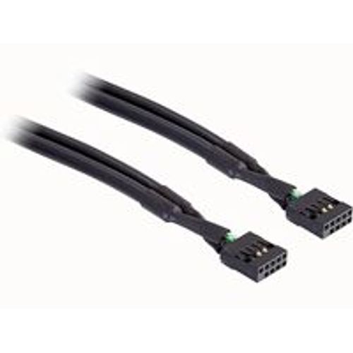 Delock - Câble USB - connecteur USB 10 broches (F) pour connecteur USB 10 broches (F) - 50 cm