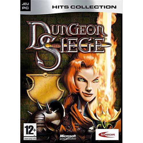 Dungeon Siege Pc