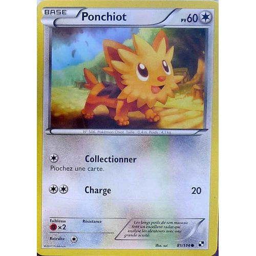 Ponchiot 81/114 60pv - Pokemon Noir & Blanc