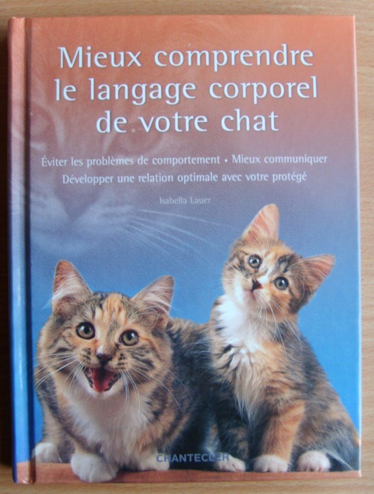 Mieux Comprendre Le Langage Corporel De Votre Chat Rakuten