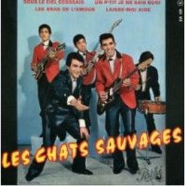 Les Chats Sauvages, Dick Rivers – L'intégrale Avec Dick
