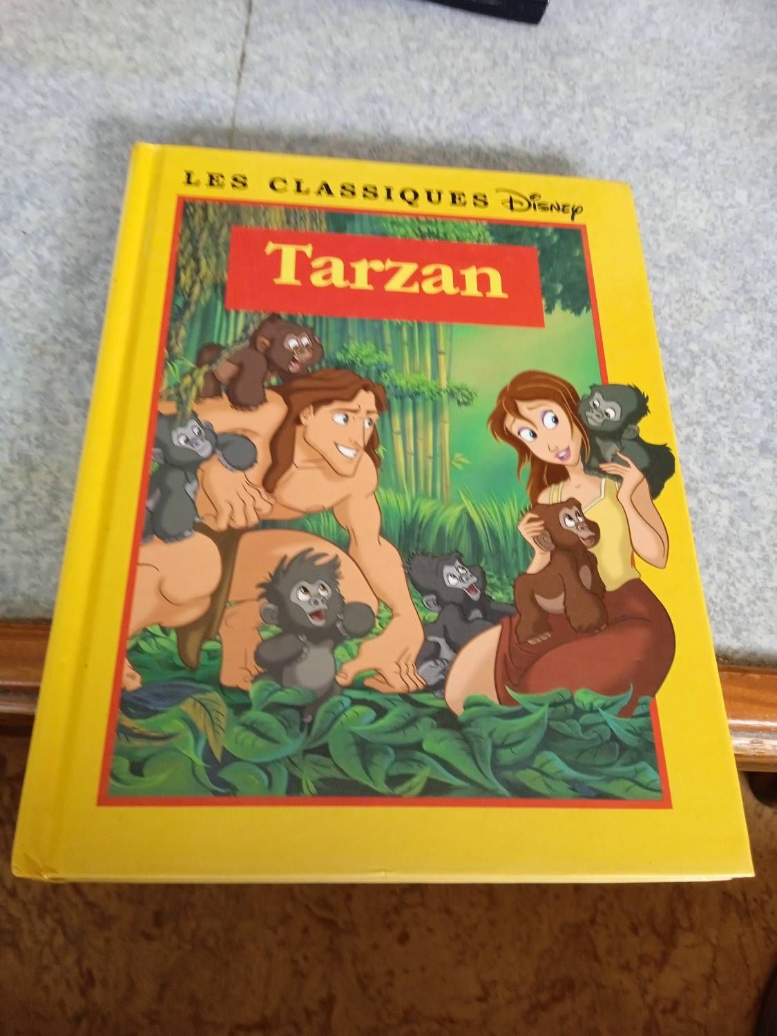 Livre Sur Tarzan Disney