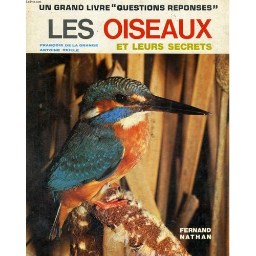 Les Oiseaux Et Leurs Secrets - Un Grand Livre Questions Reponses
