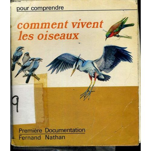 Comment Vivent Les Oiseaux - Pour Comprendre