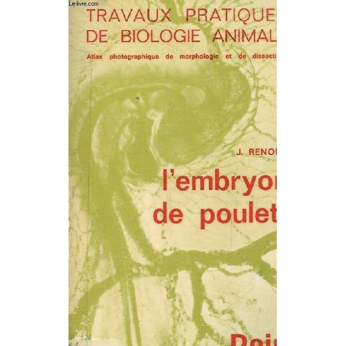 Travaux Pratiques De La Biologie Animale : L'embryon De Poulet